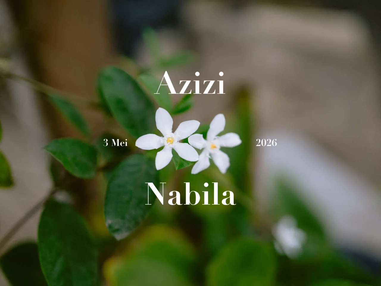 Azizi & Nabila